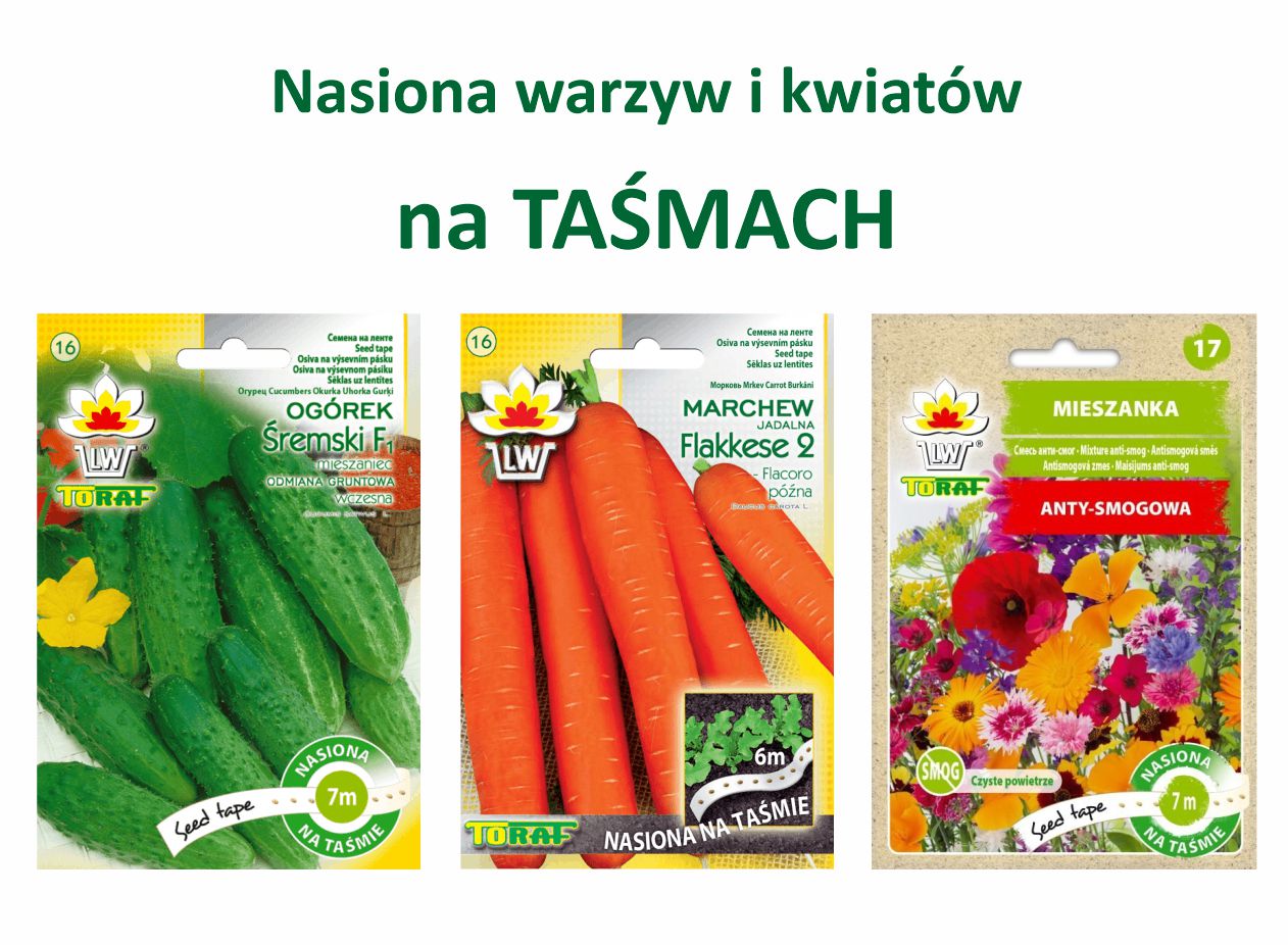 Banery_strona główna7.jpg